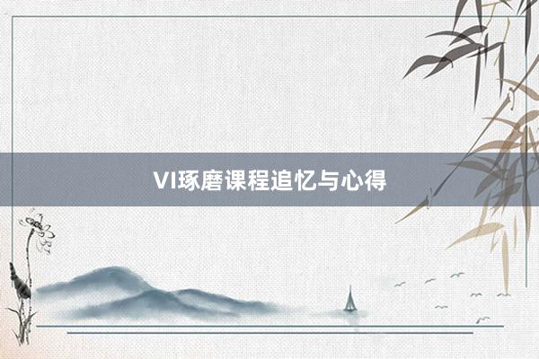 VI琢磨课程追忆与心得