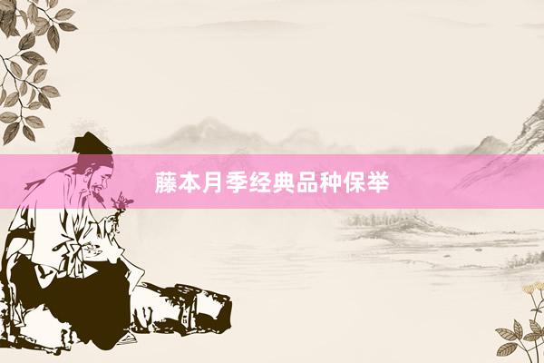 藤本月季经典品种保举