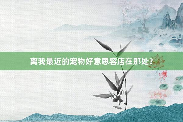 离我最近的宠物好意思容店在那处？