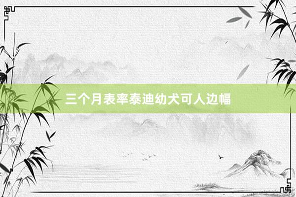 三个月表率泰迪幼犬可人边幅