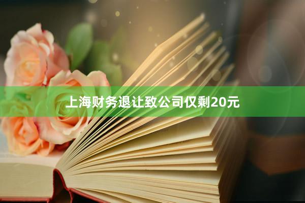 上海财务退让致公司仅剩20元